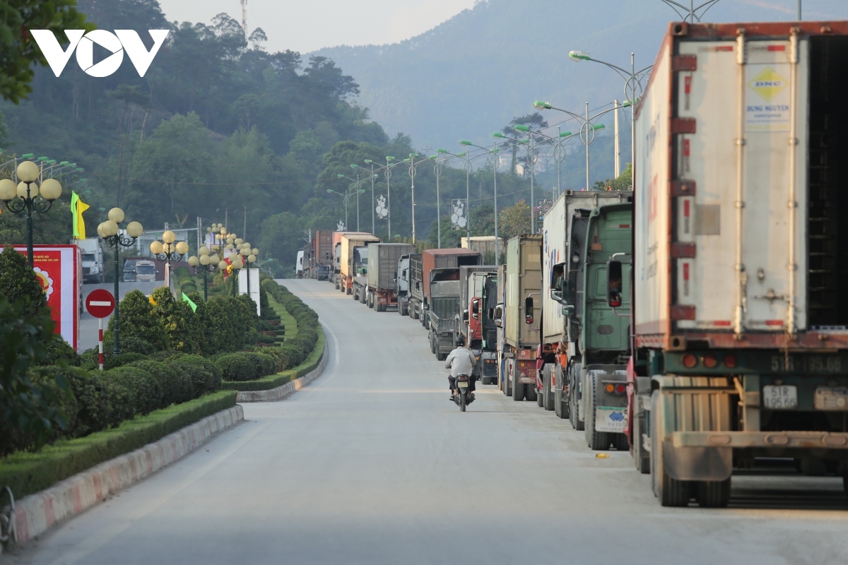 Khuyến cáo DN xuất khẩu sầu riêng theo dõi sát tình hình cửa khẩu Lạng Sơn