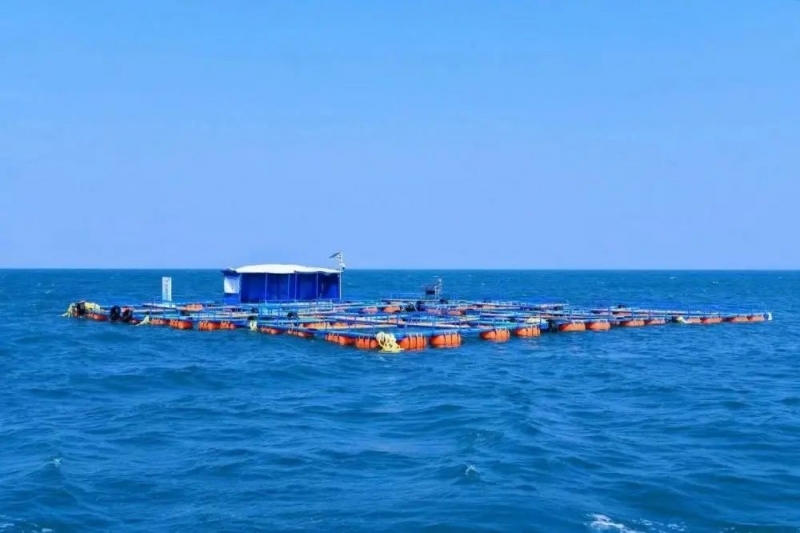 Giàn thử nghiệm khai thác urani từ nước biển lớn nhất Trung Quốc đi vào hoạt động