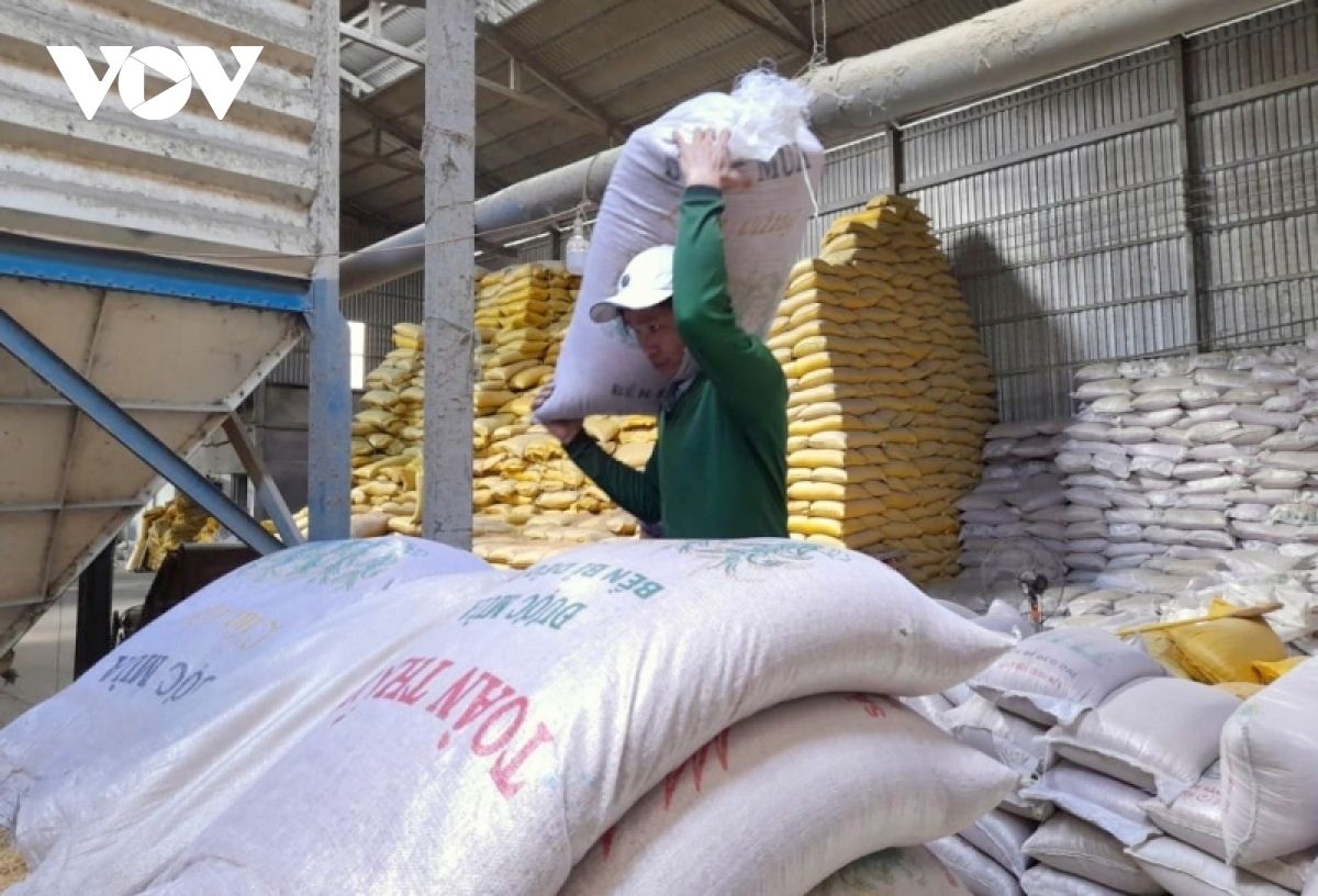 Chiến lược phát triển thị trường xuất khẩu gạo của Việt Nam đến năm 2030