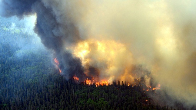 Hơn 100 triệu người ở Mỹ bị ảnh hưởng bởi khói cháy rừng ở Canada