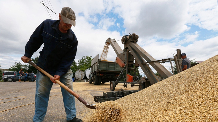 Các nước chung biên giới với Ukraine gặp rắc rối vì vấn đề ngũ cốc