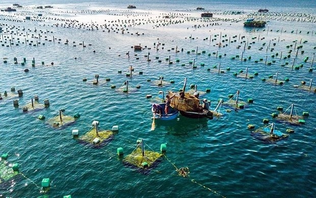 Vietnam, Norway promote cooperation in marine aquaculture