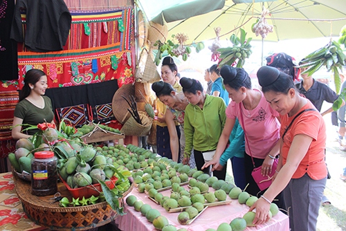Ngày hội xoài Yên Châu: Cơ hội hợp tác, đầu tư phát triển du lịch
