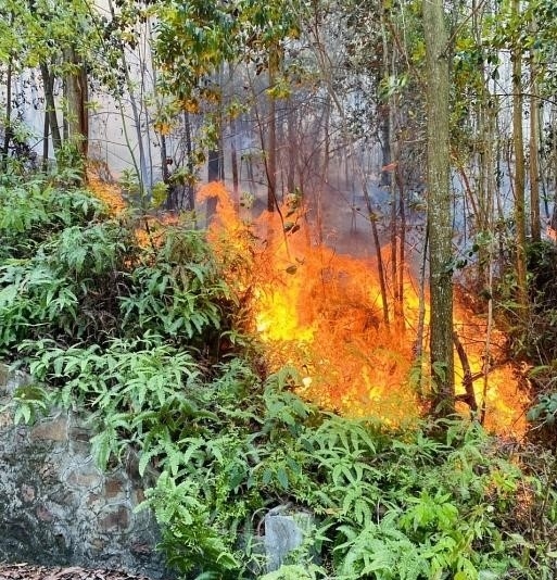 Dập tắt đám cháy rừng tại núi Sơn Đào