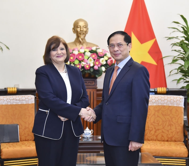 Bộ trưởng Ngoại giao Bùi Thanh Sơn tiếp Đại sứ Ai Cập tại Việt Nam