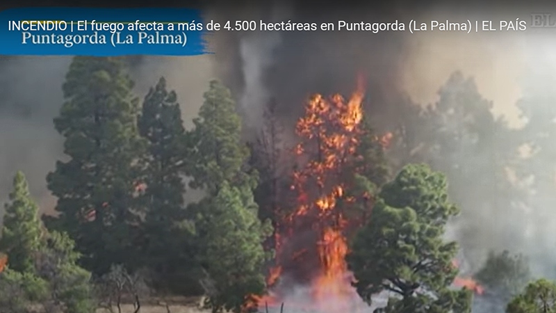 4.000 người Tây Ban Nha sơ tán khẩn do cháy rừng vượt khỏi tầm kiểm soát