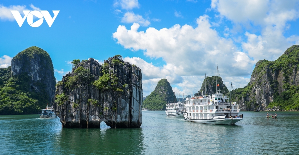 Ban quản lý vịnh Hạ Long lên tiếng về hoạt động du lịch trên vịnh Lan Hạ