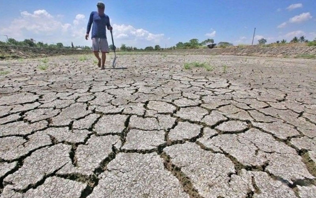 Đối phó El Nino, Indonesia thu mua dự trữ 750.000 tấn gạo