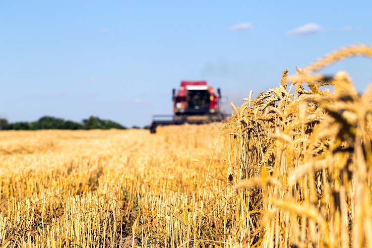 EU tìm cách trang trải chi phí vận chuyển ngũ cốc Ukraine bằng đường bộ