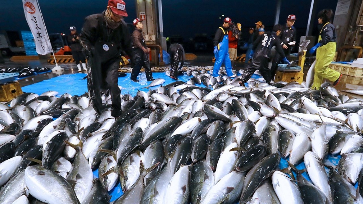 Chính phủ Nhật Bản cam kết ngăn chặn thiệt hại cho ngành thủy sản