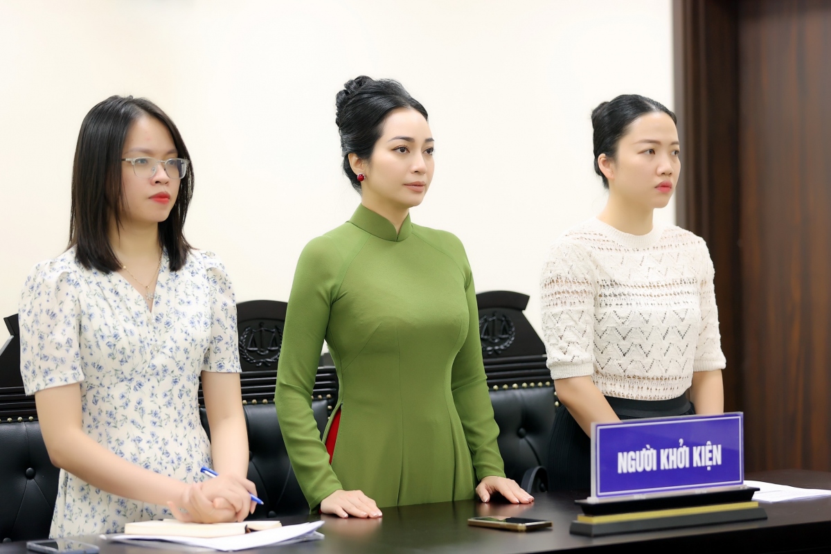 Toà bác đơn khởi kiện Sở VH-TT Hà Nội, công ty Vietart kháng cáo