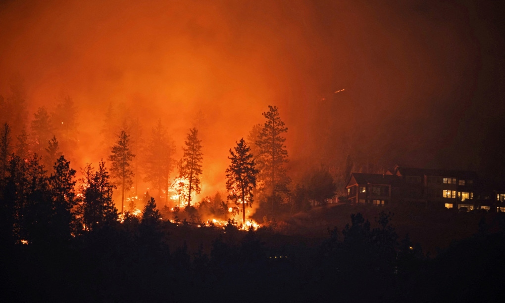 Thế giới đang phải chứng kiến những đám cháy rừng nghiêm trọng