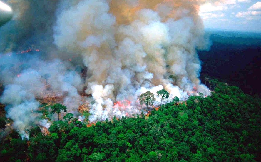 Hội nghị thượng đỉnh Amazon tìm giải pháp cứu “lá phổi xanh” của Trái Đất