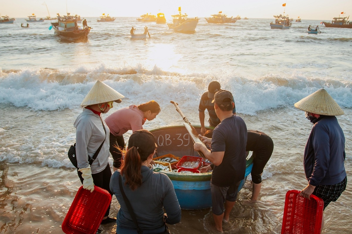 Ngư dân Quảng Bình làm giàu từ biển, tuân thủ quy định khai thác