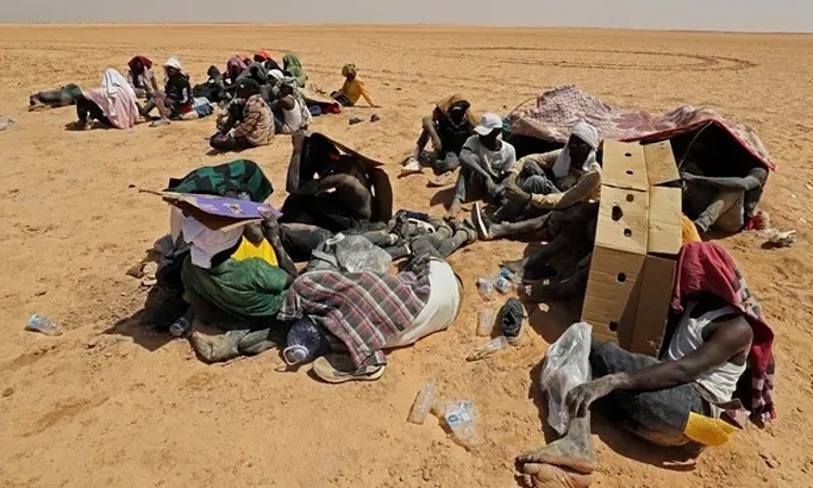 Phát hiện 27 thi thể người di cư trên sa mạc Sahara
