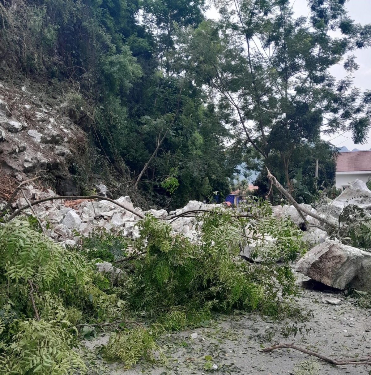 Bắc Kạn thông xe tuyến đường tỉnh 254 sau sự cố lở núi