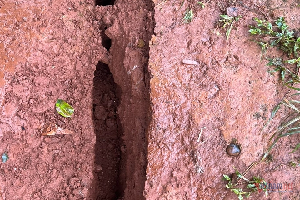 Đắk Nông: Xuất hiện vết nứt lạ dài 1,5km sau tiếng nổ lớn từ lòng đất