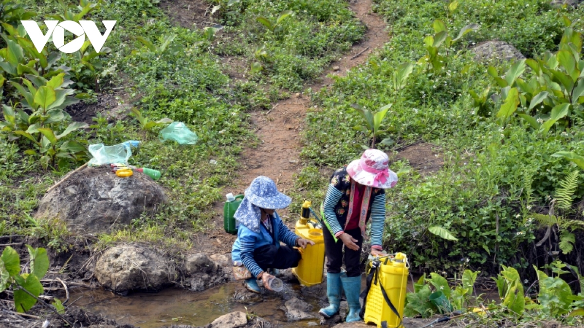 18 người ở Điện Biên nhập viện, nghi do uống phải nước nhiễm thuốc trừ cỏ