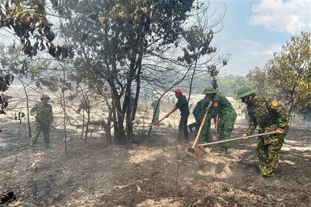 Thừa Thiên-Huế: Cháy rừng phòng hộ, khoảng 7,5ha bị thiệt hại