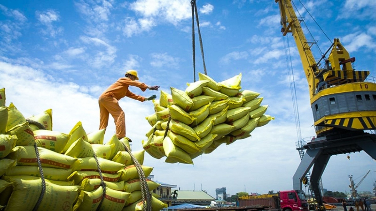 Tăng cường xuất khẩu gạo không ảnh hưởng đến nguồn cung tiêu dùng và xuất khẩu