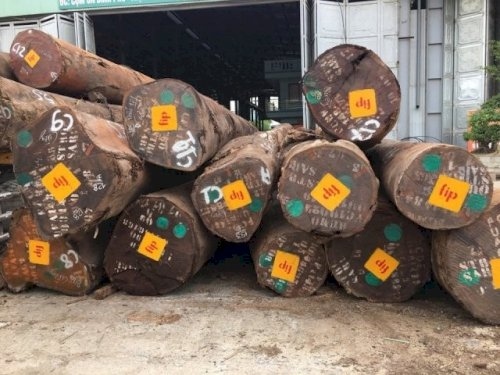 Công bố danh mục các loại gỗ đã nhập khẩu vào Việt Nam