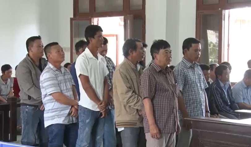Tuyên án các bị cáo trong vụ phá rừng xã Sơn Hội, Phú Yên