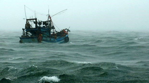 Bình Thuận: Thuyền viên trên tàu cá bị rơi xuống biển mất tích
