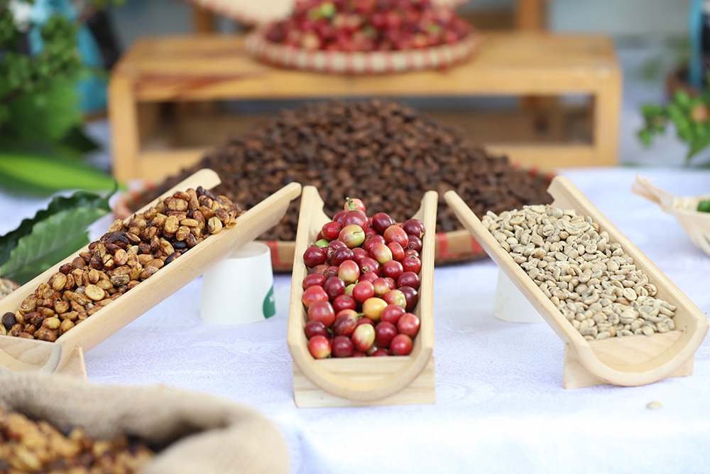 Gala cà phê Sơn La: Đẩy nền kinh tế cà phê phát triển bền vững