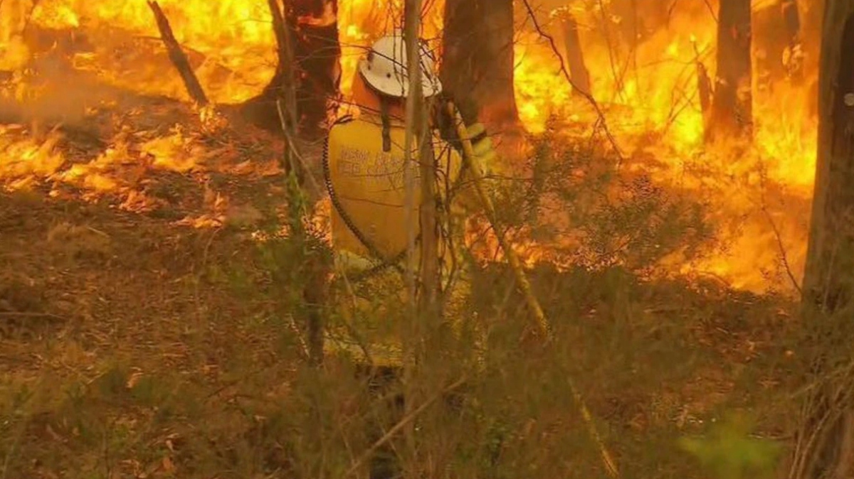 Nắng nóng làm cháy rừng lan rộng tại Australia