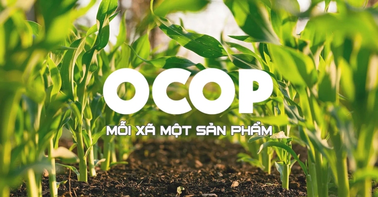 Hưởng ứng Chương trình OCOP: LocaMart góp phần nâng tầm nông sản Việt