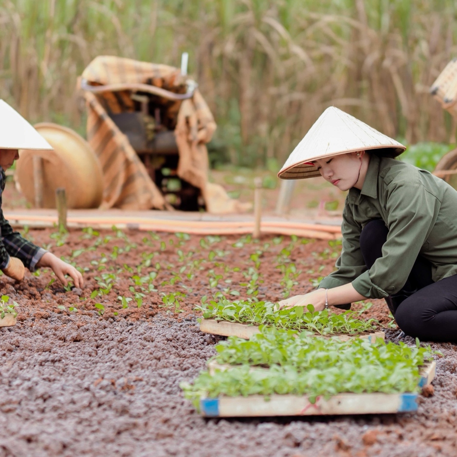 Thuận Thiên: Bảo vệ thiên nhiên, phát triển sản phẩm xanh- sạch- lành