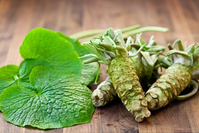 Trồng cây wasabi, nông dân Đà Lạt nhổ củ bán 6 triệu đồng/kg