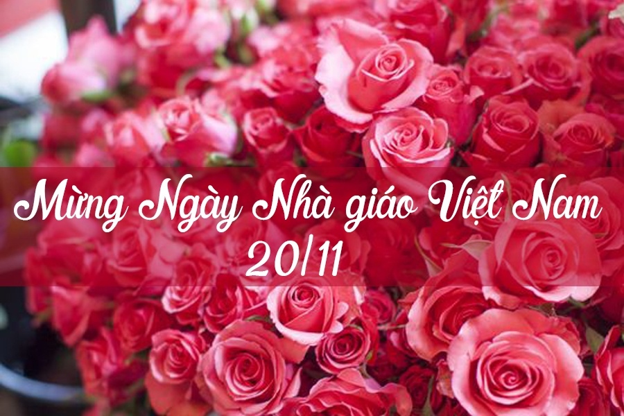 Những lời chúc ý nghĩa dành tặng thầy cô nhân ngày Nhà Giáo Việt Nam