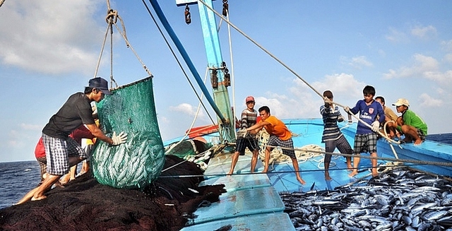 Thủ tướng yêu cầu thực hiện các giải pháp chống khai thác hải sản bất hợp pháp