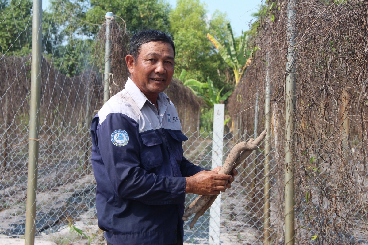 Nông dân Bà Rịa – Vũng Tàu biến cây rừng thành sản phẩm OCOP