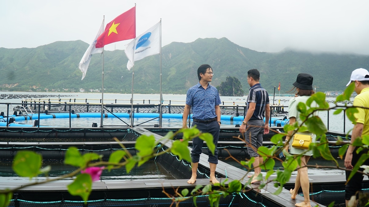Quảng Ninh phấn đấu mục tiêu 8.800 hecta từ nuôi biển