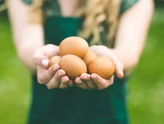 Trứng luộc và trứng rán, món nào nhiều dinh dưỡng hơn?