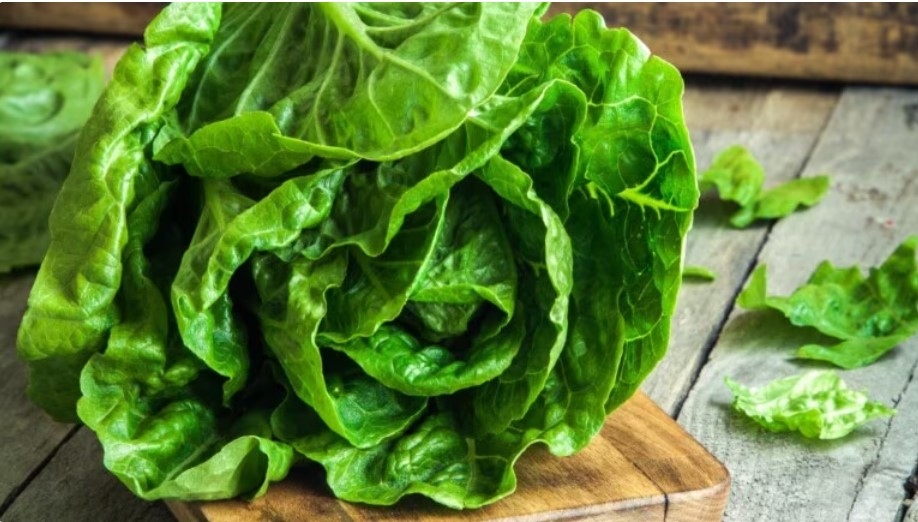 6 loại rau lá xanh bổ dưỡng này không thể thiếu trong bữa ăn hằng ngày
