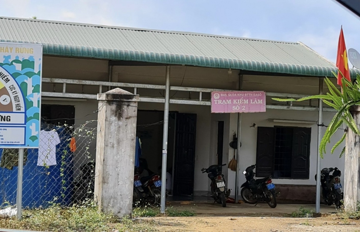 Trưởng trạm kiểm lâm ở Đắk Lắk tử vong do trúng đạn khi tuần tra rừng