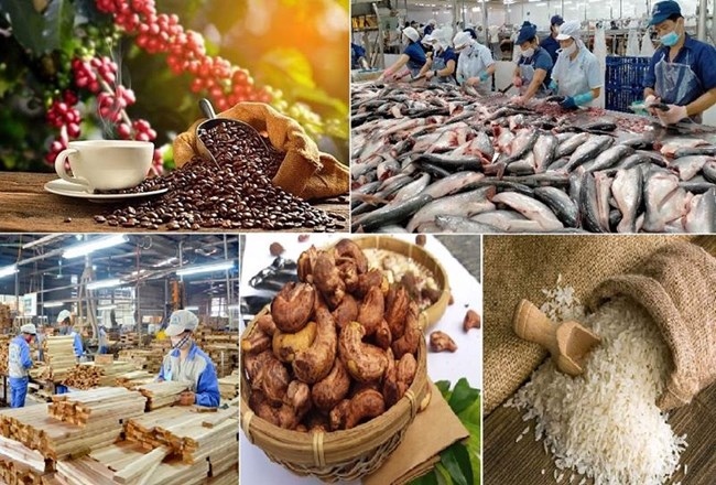 Tiềm năng và thách thức khi xuất khẩu nông sản vào thị trường Trung Quốc