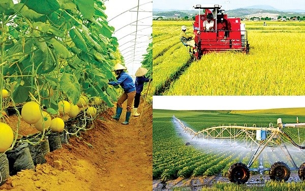 Doanh nghiệp đồng hành trong đào tạo nhân lực nông nghiệp chất lượng cao