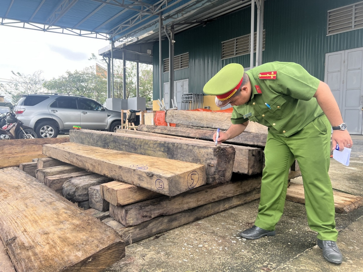 Thừa Thiên Huế: Phát hiện hàng chục phách gỗ không có nguồn gốc