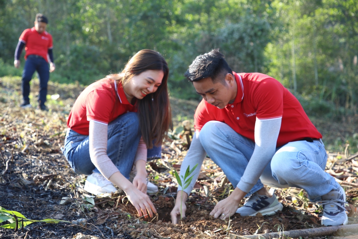SeABank tiếp tục phủ xanh 3 ha rừng phòng hộ tại Thanh Hóa