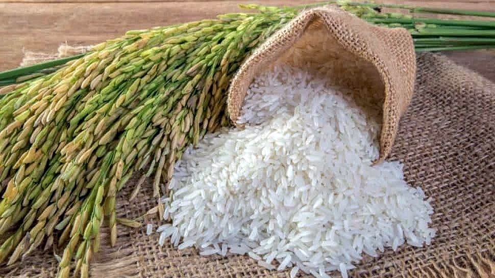 Campuchia thu hơn 1,7 tỷ USD từ xuất khẩu gạo trong năm 2023