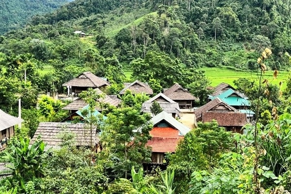 Ngăn chặn nạn "chảy máu" bằng cách kiểm kê, xếp hạng nhà sàn cổ