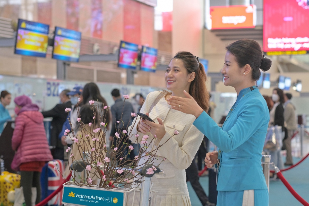 Vietnam Airlines nhận chở cành đào, mai dịp Tết Giáp Thìn