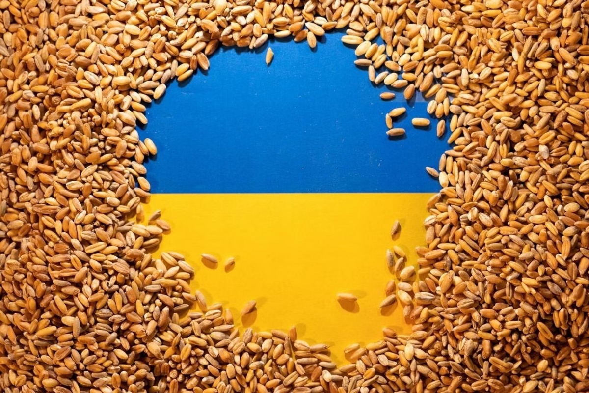 Ukraine gặp khó khi các quốc gia Đông Âu đòi áp thuế với sản phẩm ngũ cốc