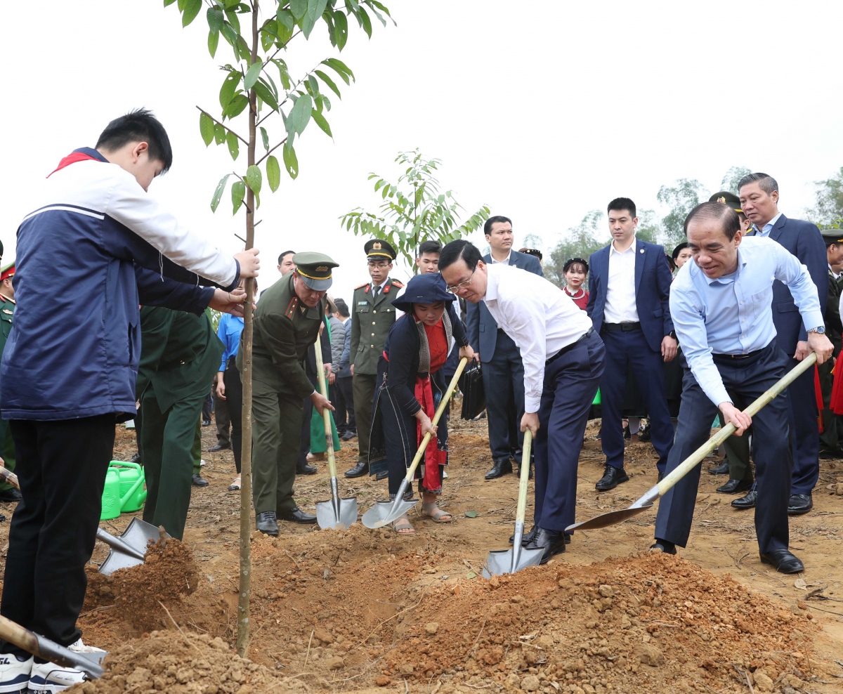 Chủ tịch nước: "Mỗi cây được trồng là món quà vô giá gửi đến tương lai"