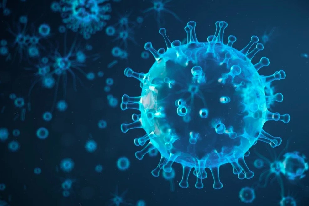 Virus cúm H5N1 lần đầu tiên được phát hiện ở Nam Cực