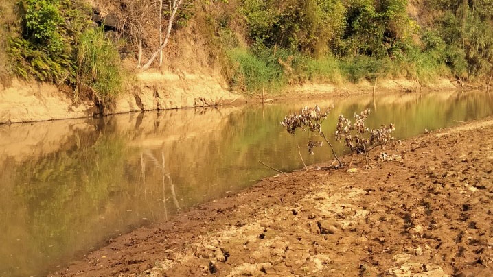 Ba trẻ chăn bò chết đuối khi đi tắm sông Ayun, Gia Lai